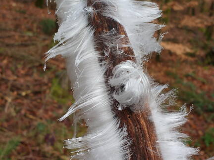 IMG 20190118 104452558